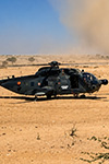 FOTO DELLA XXª COMPAGNIA PUMA.