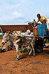 GIOVANI SOMALI SI RIFORNISCONO D'ACQUA DA UN POZZO SULLA STRADA PER BALAD.