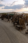 UN ACCAMPAMENTO DI TENDE DI FORTUNA E BANCARELLE IMPROVVISATE LUNGO LA STRADA PER BALAD.